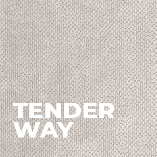 Tender_way_ICO